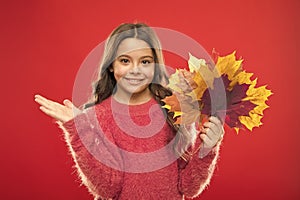 What a beauty. girl child in sweater. Autumn mood. autumn kid fashion. Weather change. fall season. fallen leaves bunch
