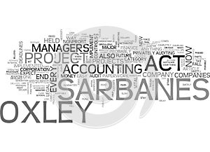 What Comes After Sarbanes Oxley Word Cloud
