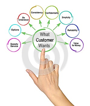 What Customer Wants