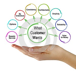 What Customer Wants