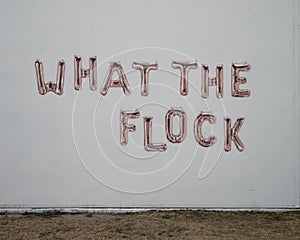 `What The Flock`, an unsigned simple work of art in the Foundry District`s Inspirational Alley in Fort Worth, Texas.