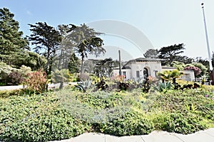 Golden Gate Park Senior Center San Francisco 7 photo