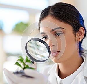 What lies beneath the surface. a young scientist using a magnifying glass to analyse a plant in a lab.