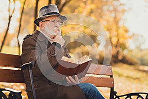 What lifestyle sense. Profile side photo of pensive old man rest relax in fall nature october trees park read book