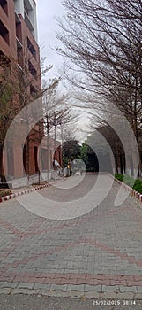 What a lovely view in my college yup