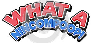 What a nincompoop isolated word text