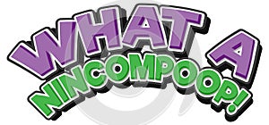 What a nincompoop isolated word text