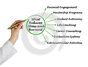 What Reduces Stress and Burnout