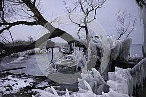 What Remains After The Ice Storm