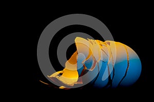 WhatÃÂ´s left behind