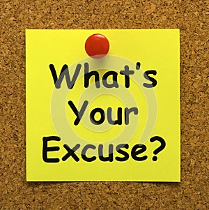 What's Your Excuse Means Explain Procrastination photo