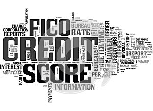 What S In Your Fico Score Word Cloud