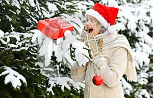 what a surprise. bright weather is prefect mood. happy woman hold xmas present box. girl with christmas tree decoration