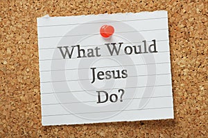 What Would Jesus Do? photo