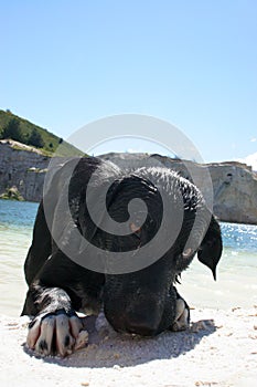 What you lookin' at ?