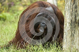 What Are You Looking At?