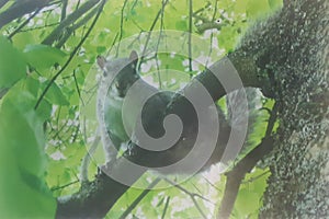 What you looking at!