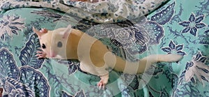 What are you looking at