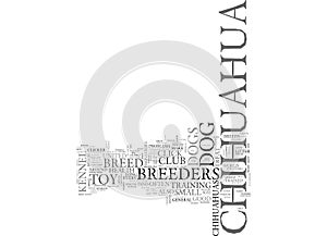 What You Should Know About Chihuahua Breeders Word Cloud photo