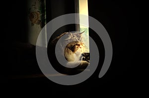 what are you waiting for