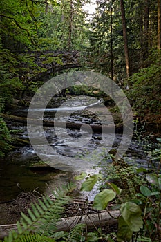 Whatcom creek and bridge at whatcom Falls park in Bellingham Washington