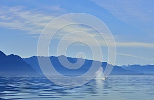 Wheal spout in seascape in Alaska