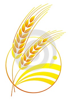 Wheat abstract logo