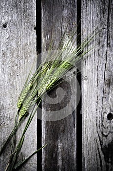Wheat against wooden background.