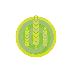 Wheat agriculture and farming vector logo design