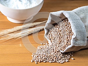 Wheat in a bag, ears, flour in a wooden cup and bread on a wooden background.