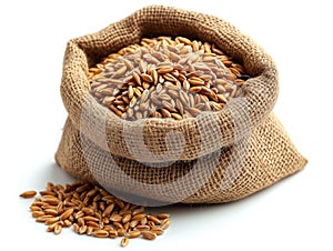 wheat in bag, realistic illustration