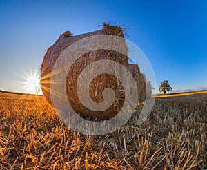 Wheat Bale III