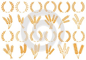 Wheat or barley ears. Harvest wheat grain, growth rice stalk and bread grains isolated vector set photo