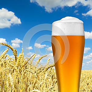 Wheat beer with dew drops