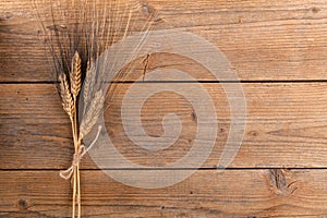 Wheat bio organic raw grain ear on wooden background for cereal bread flour