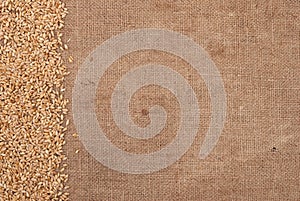 Wheat border on burlap background