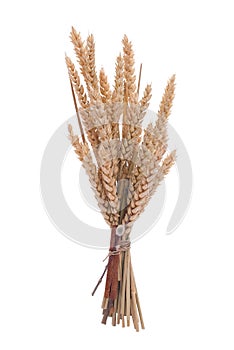 Wheat branch photo