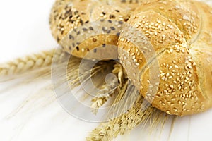 Wheat and bread