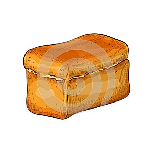 Wheat bread isolated on white. hand drawn traditional white square loaf doodle icon. fresh baked grain bread. Vector