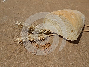 Wheat bread an wheat corn