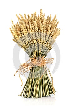 Wheat Bundle