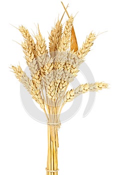 Wheat bundle