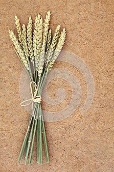 Wheat Bundle