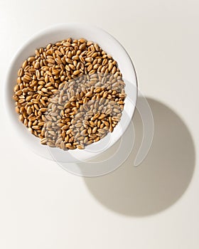 Wheat cereal grain. Grains in a bowl. Shadow over white table. photo