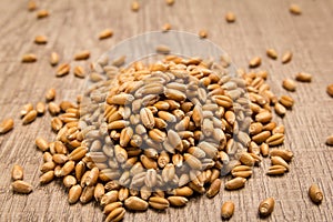 Wheat cereal grain. Pile of grains on the wooden table. Selective focus. photo