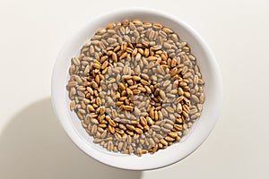 Wheat cereal grain. Top view of grains in a bowl. White background. photo