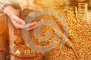 Wheat commodity price increase photo
