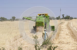 Wheat Crop Farm Harvest with Harvester in Central India , Madhya Pradesh