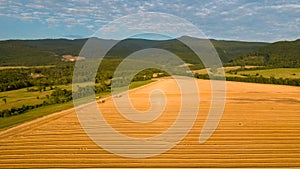 Wheat crop harvest. Aerial view of combine harvester at work during harvest time. Agriculture background.