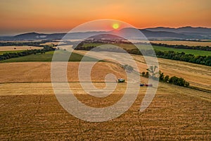 Wheat crop harvest. Aerial view of combine harvester at work during harvest time. Agriculture background.